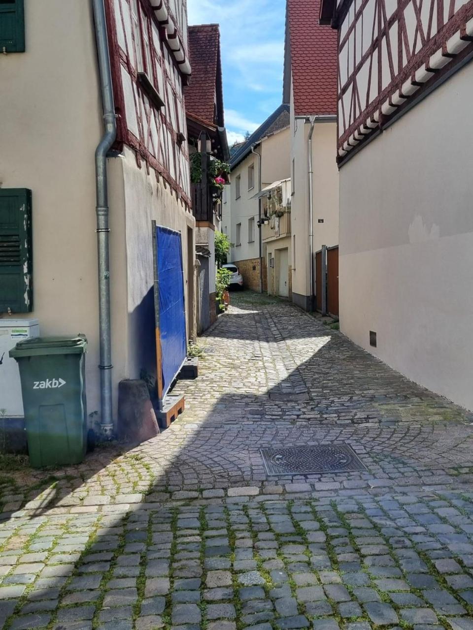 Ferienwohnung Heppenheim An Der Bergstrasse Whg 1 Exterior foto